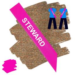 Steward Flo Pink-White Polyester Sash.jpg