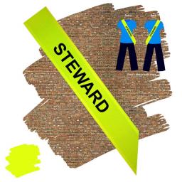 Steward Flo Yellow Polyester Sash.jpg