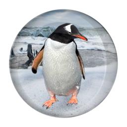 Penguin-On-Ice-Button-Badge.jpg
