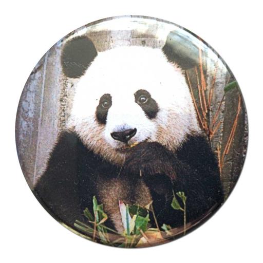 Panda-50mm-Badge.jpg