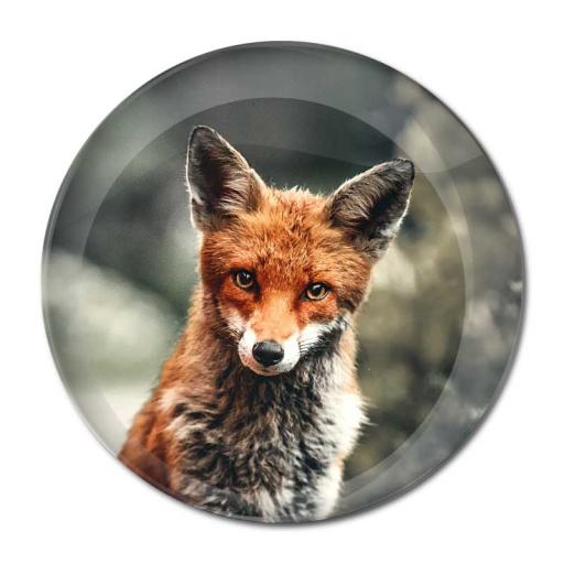 Fox-Photo-Button-Badge.jpg