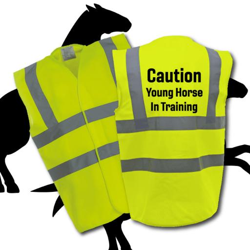 Safety Vests Caution Young Horse In Training