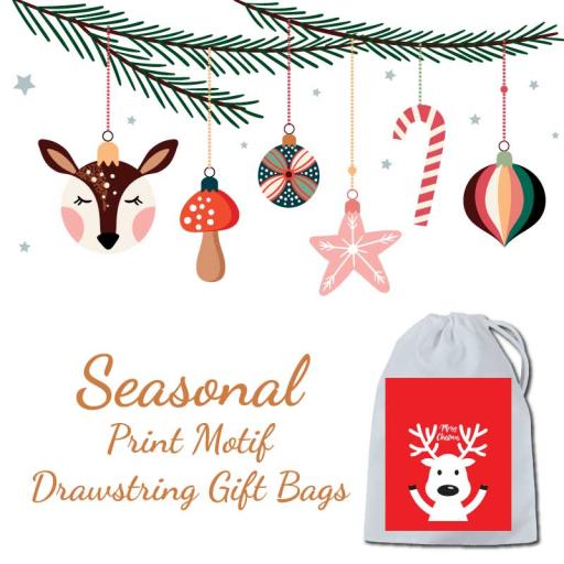 Seasonal-Print-Motif-Drawstring-Bags.jpg