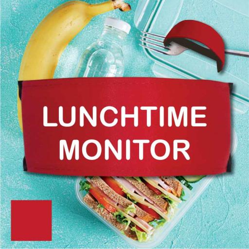 Lunchtime Monitor ID Armbands for Children