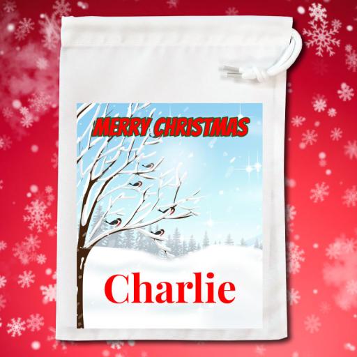 Full Colour Personalised Christmas Gift Bag