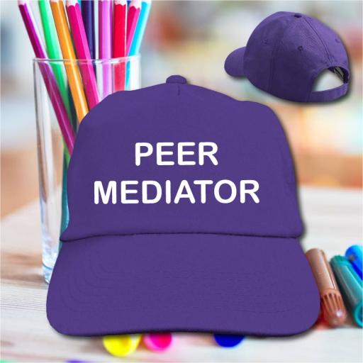 b10b-baseball-cap-purple-peer-mediator.jpg