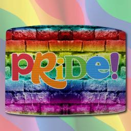 Rainbow-Armbands-with-Pride-Text.jpg