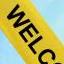 Polyester Welcome Sashes Swatch